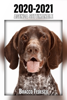 2020-2021 Agenda Settimanale Bracco Tedesco: 221 Pagine - Dimensioni DIN A5 - Pianificatore - 24 Mesi - Due Pagine Per Settimana - Calendario - Diario - Cane - In Italiano