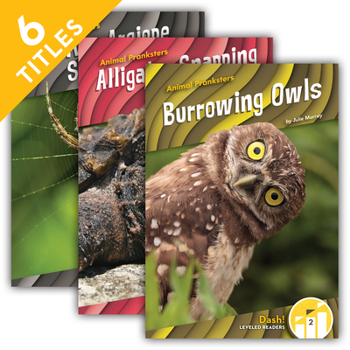 Library Binding Animal Pranksters (Set) Book