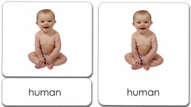 Vertebrates 3-Part Reading Cards