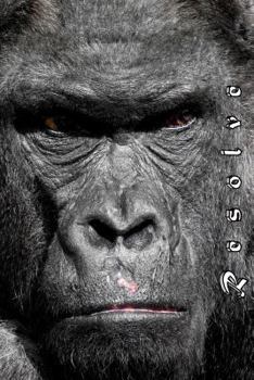 Paperback My Notebook: Resolve - 2 Book