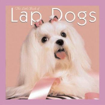 Hardcover The Little Book of Lap Dogs Book
