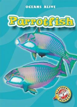 Parrotfish - Book  of the Oceans Alive