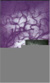 Psychology in India Revisited - Developments in the Discipline, Volume 3: Applied Social and Organizational Psychology