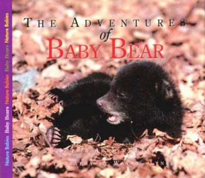 Paperback The Adventures of Baby Bear (Nature Babies) Book