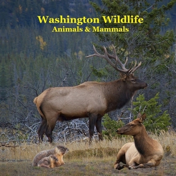 Paperback Washington State Animals and Mammals Kids Wildlife Book: Great Washington State Animals book with Lifelike Images and Fun Facts Book