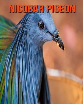 Nicobar Pigeon: Amazing Facts about Nicobar Pigeon