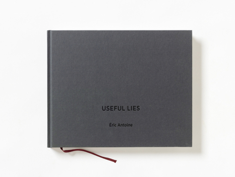 Hardcover Useful Lies Book