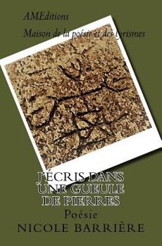 Paperback J'écris dans une gueule de pierres [French] Book