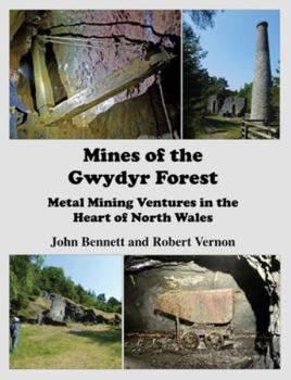 Paperback Mines of the Gwydyr Forest: Metal Mining Ventures in the Heart of North Wales Book