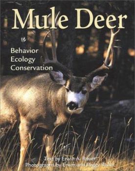 Paperback Mule Deer: Behavior, Ecology, Conservation Book