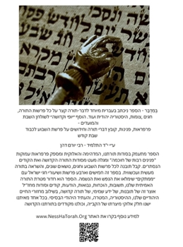 Hardcover בְּמִדְבַּר: דבר תורה לפר [Hebrew] Book