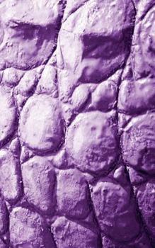 Paperback Alive! crocodile skin - Violet duotone - Photo Art Notebooks (5 x 8 series): by Photographer Eva-Lotta Jansson Book