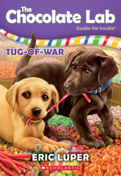 Paperback Tug-Of-War (the Chocolate Lab #2): Volume 2 Book