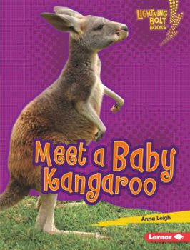 Library Binding Meet a Baby Kangaroo Book