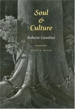 Soul and Culture - Book  of the Carolyn and Ernest Fay Series in Analytical Psychology