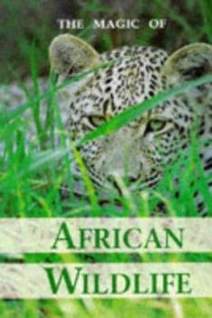 Paperback Magic of African Wildlife Book