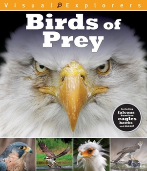 Paperback Birds of Prey Book