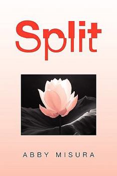 Paperback Split Book