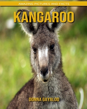Kangaroo: Amazing Pictures and Facts