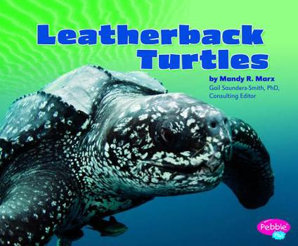 Hardcover Leatherback Turtles Book