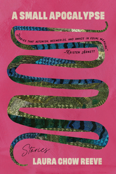 Paperback A Small Apocalypse: Stories Book