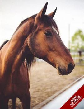 Horse Notebook Collection : (Horse Notebook, Journal, Diary) (Notebook Gifts) Collect Them All