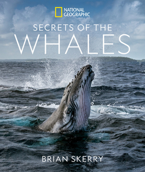 Hardcover Secrets of the Whales Book