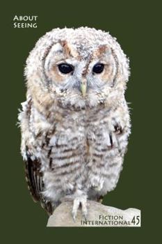 Fiction International 45: About Seeing