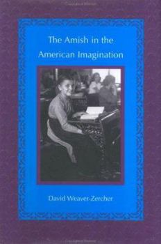 Hardcover The Amish in the American Imagination Book