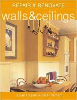 Paperback Walls & Ceilings Book