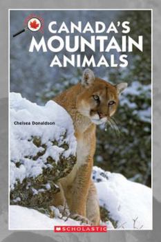 Paperback Canada Close Up: Canada's Mountain Animals Book