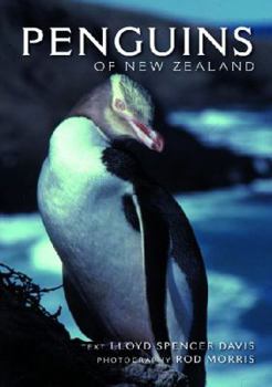 Hardcover Penguins of New Zealand Book