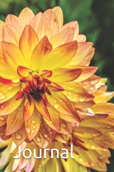 Paperback Journal Book