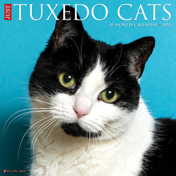 Calendar Just Tuxedo Cats 2024 12 X 12 Wall Calendar Book