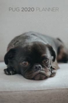 Pug Planner: 2020 diary: Increase productivity, improve time management, reach your goals: Adorable pug: Modern artistic photography style cover design