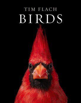 Hardcover Birds Book