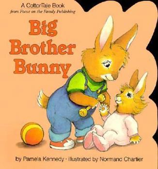 Hardcover Big Brother Bunny Book