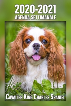 2020-2021 Agenda Settimanale Cavalier King Charles Spaniel: 221 Pagine | Dimensioni DIN A5 | Pianificatore | 24 Mesi | Due Pagine Per Settimana | ... Diario | Cane | In Italiano (Italian Edition)