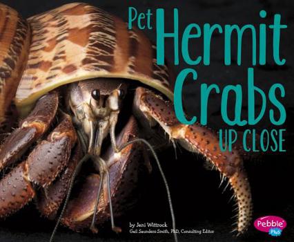 Hardcover Pet Hermit Crabs Up Close Book