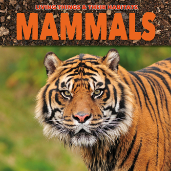 Paperback Mammals Book