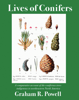 Paperback Lives of Conifers: A Comparative Account of the Coniferous Trees Indigenous to Northeastern North America Book