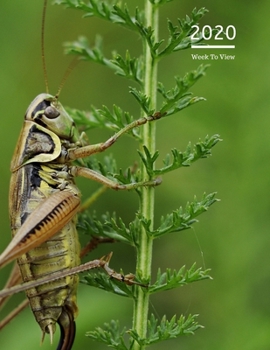 2020 A4 Diary Week To View Planner For All Occasions: | Year Planner For Business, Office, Home, University, College, School, Appointments, Organizer.