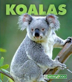 Library Binding Koalas Book