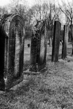 Tombstones in Autumn Gothic Notebook: Graveyard Gothic Series