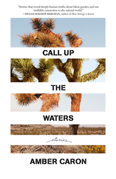 Paperback Call Up the Waters: Stories Book