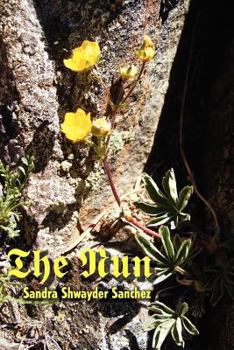Paperback The Nun Book