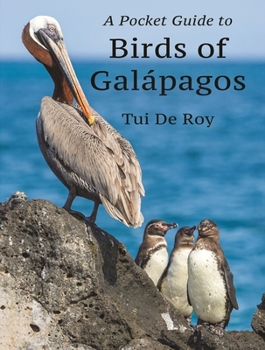 Paperback A Pocket Guide to Birds of Galápagos Book