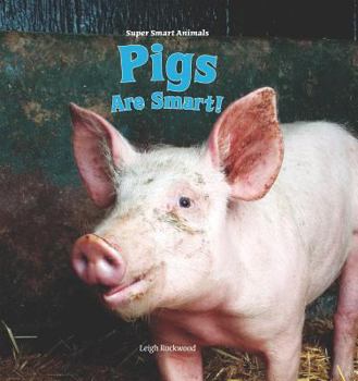Library Binding Pigs Are Smart! Book