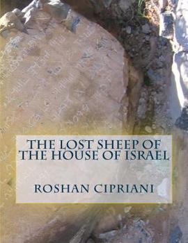 Paperback The Lost Sheep Of The House Of Israel Book