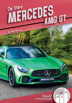 Library Binding Mercedes Amg GT Book